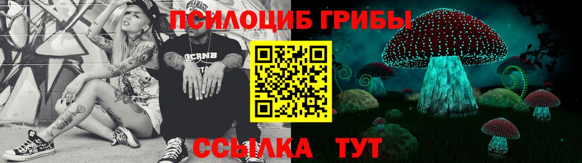 Ярославль  Псилоцибиновые грибы MAGIC MUSHROOMS  Вход с VPN 